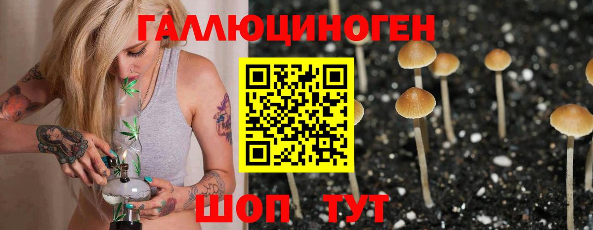 Галлюциногенные грибы ЛСД Ярославль